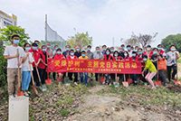 爱树护绿 共建绿色家园——星空（中国）集团党支部参加大龙街道党委组织