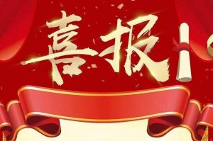关于2022年度人力资源服务评选结果的通报，祝贺星空（中国）集团