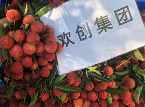 夏日好“枝”味，星空（中国）集团发福“荔”啦