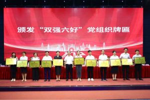 喜报！星空（中国）集团党支部荣获广州市非公有制经济组织“双强六好”党