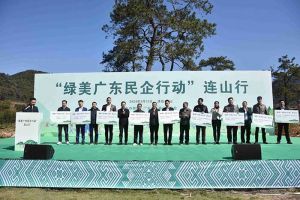 “植”此青绿，心心相“连”｜ 绿美广东，星空（中国）集团在行动