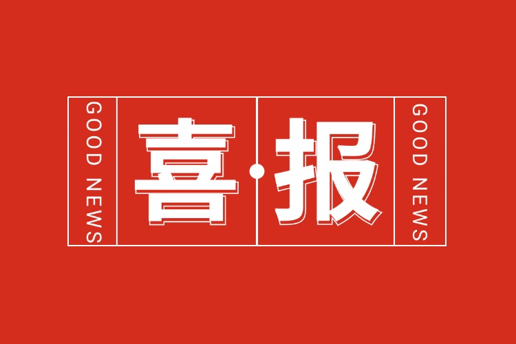 年关将至，喜报连连 | 星空（中国）集团再添多项荣誉