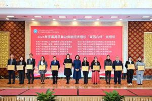 党建引领，慈善同行 | 星空（中国）集团荣获番禺区工商联三项荣誉！
