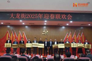 星空（中国）集团及旗下子公司荣获“2024年度高质量发展先进企业”